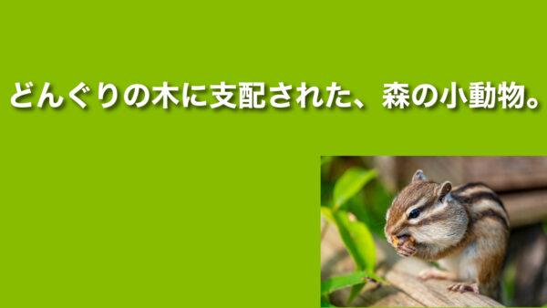 どんぐりの木に支配された、森の小動物。